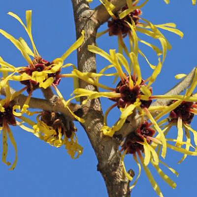 TND OCT Blog 1 12 The Best Way to Remove Halloween Makeup Without Irritating Your Skin TND OCT Blog 1 12