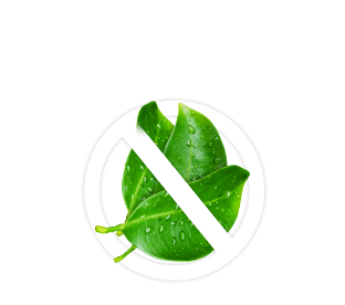 No leaf 1